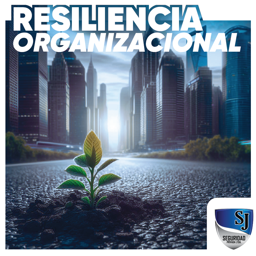 Valores corporativos SJ Seguridad