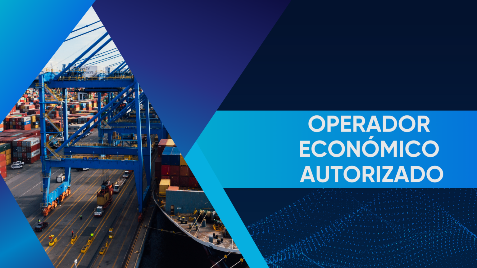 OPERADOR ECONÓMICO AUTORIZADO (OEA)